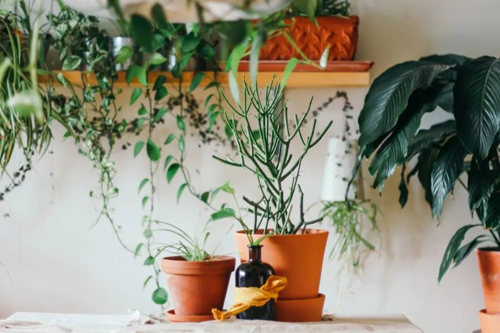 Brina blum s5 nmxna 7c unsplash