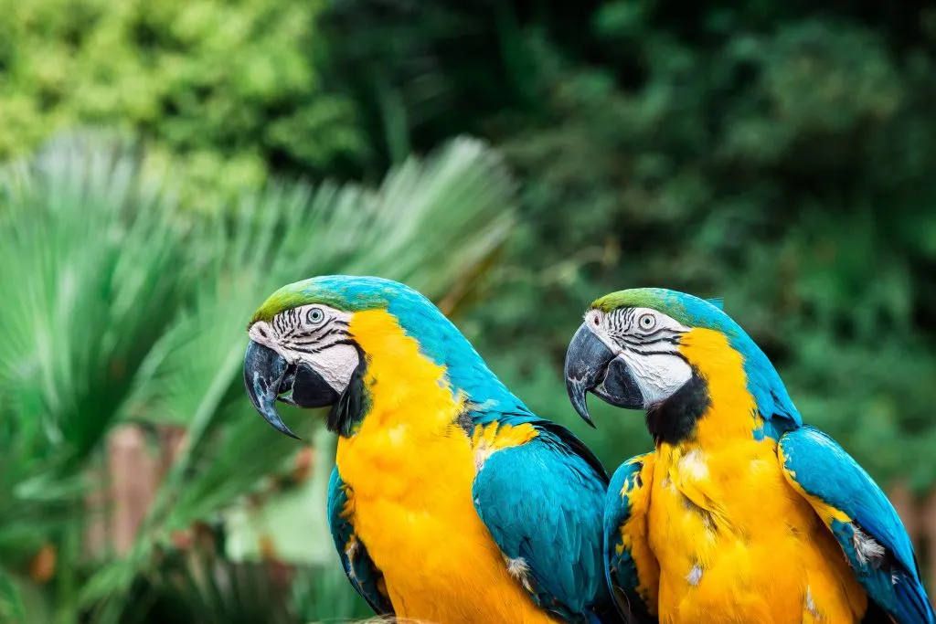Bruno martins byy rylzoki unsplash